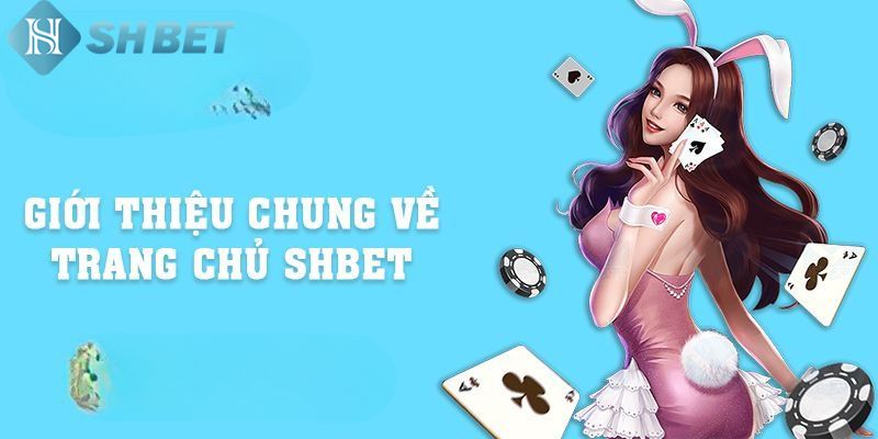 Về chúng tôi, hành trình phát triển mạnh mẽ